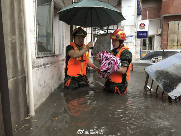 组织机构 第104页