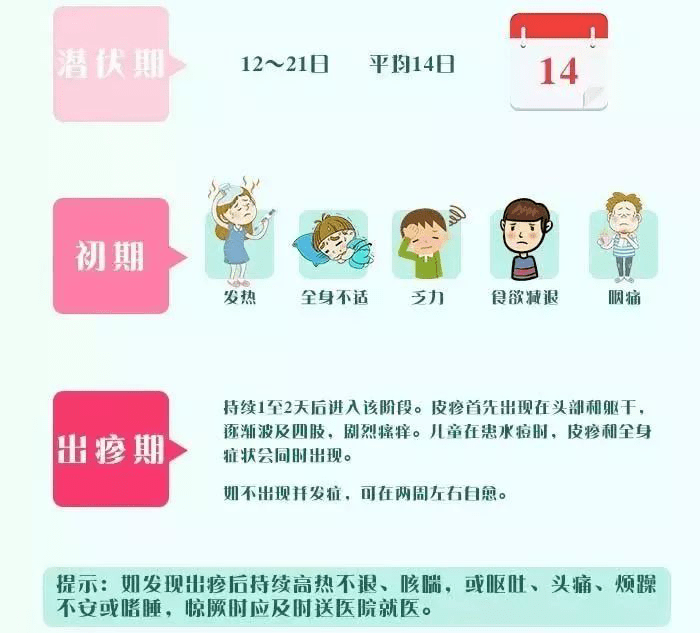 似听芹