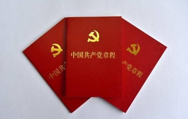 最早的党章，革命之路的见证者——党章中的奥秘与启示及其条文数量探究