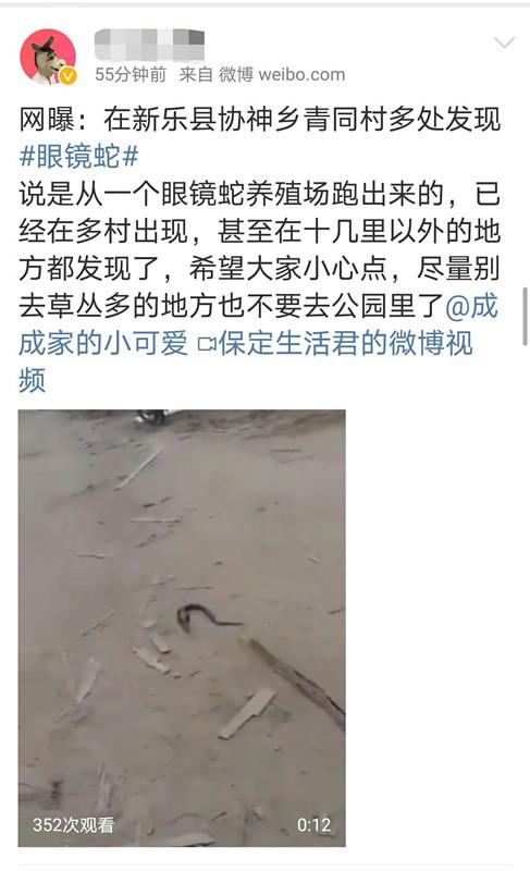 揭秘新乐眼镜蛇的早期动态与神秘生物的踪迹探索