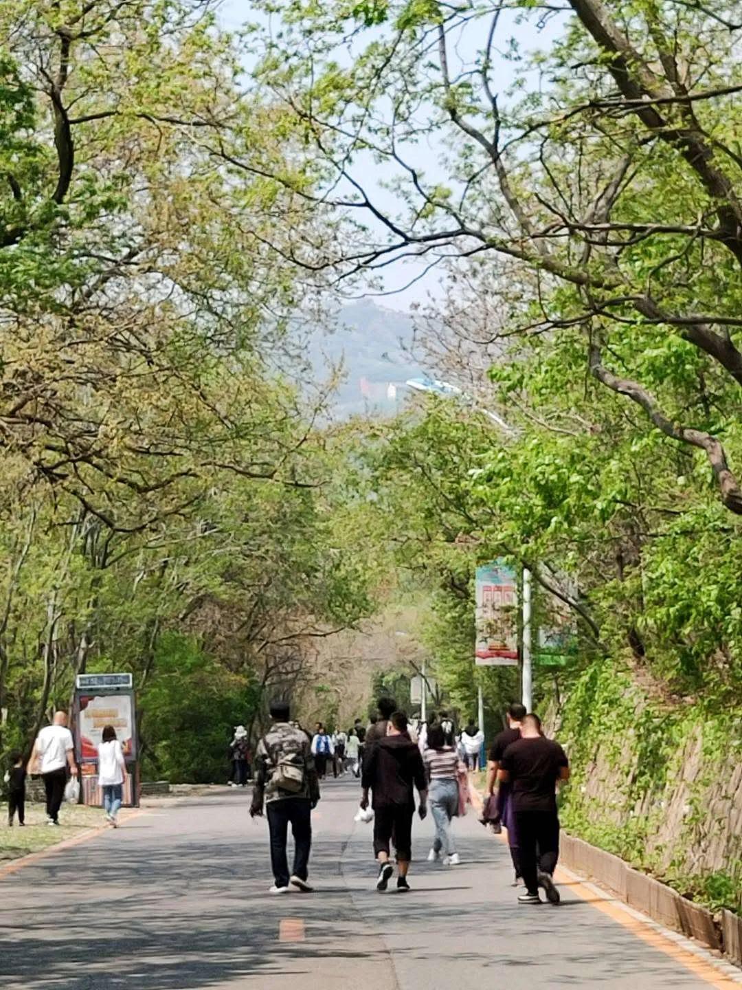 普陀山早期防疫政策初探，防疫措施与启示