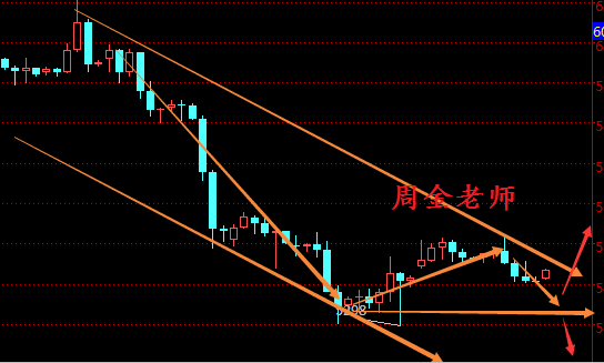 文金