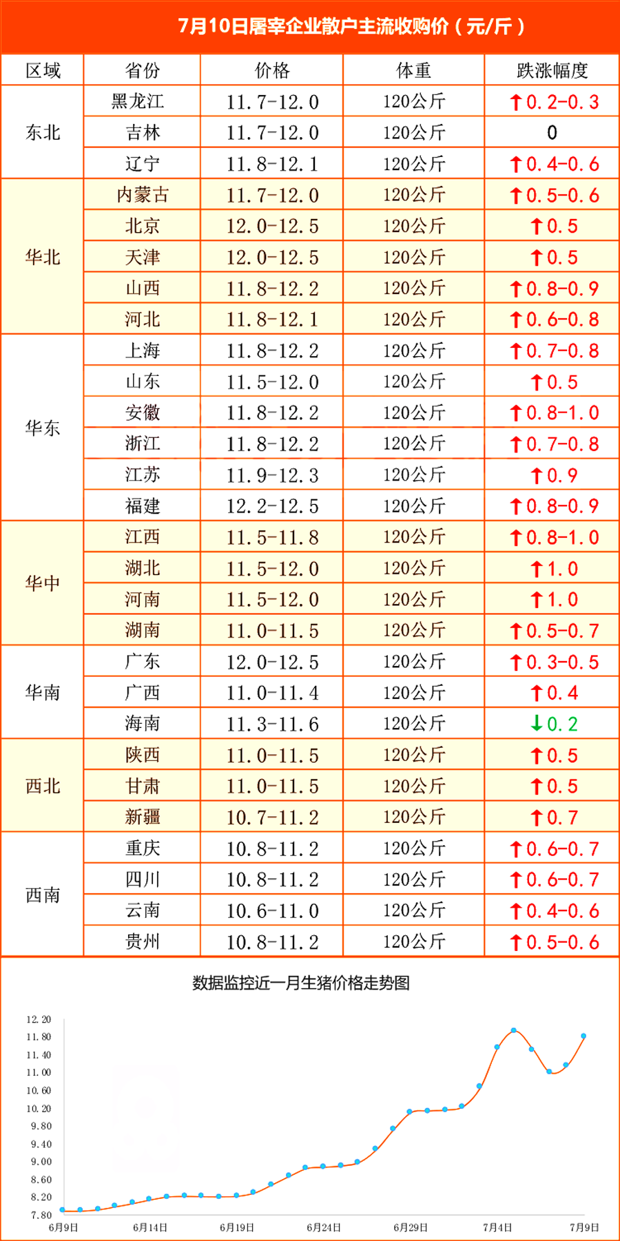 猪价明天最早猪价